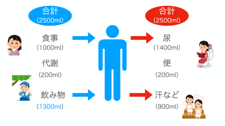 水分を補給する重要性 横浜・関内のパーソナルトレーニングはLife Change Fitness /池田 涼真