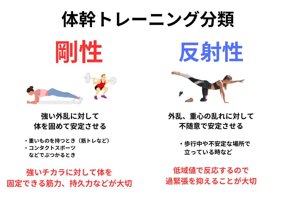 体幹トレーニング分類